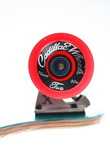 Longboard Madrid Bike
