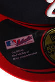 ACPERF WASHINGTON NATIONALS