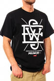 ESW