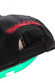 CHICAGO BULLS