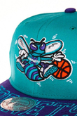 CHARLOTTE HORNETS