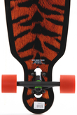 Longboard Long Island Tiger