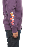 Bluza Kaptur Nike SB Icon