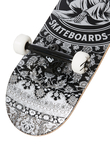 Deskorolka Darkstar Magic Carpet 