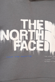 The North Face Graphic Hoodie