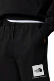Szorty The North Face NSE Box