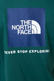 Koszulka The North Face NSE Box