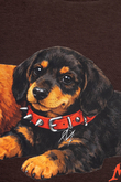 Bluza Z Kapturem Mercur Puppy