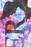 SP11 ACID