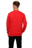 Bluza Biuro Ochrony Rapu New Herb