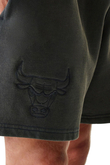 Kraťasy New Era Chicago Bulls NBA