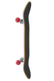 World Industries Power Of Evil Skateboard
