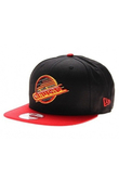 VANCOUVER CANUCKS
