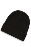 Czapka Zimowa Dickies Gibsland