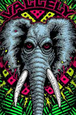 Blat Powell Peralta Vallely Elephant