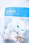 Bluza Z Kapturem Ripndip A Bird