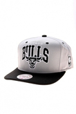 CHICAGO BULLS