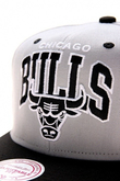 CHICAGO BULLS