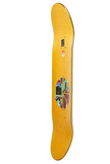 Blat Polar GRUND Moth House
