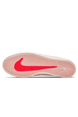 Buty Nike SB Shane T