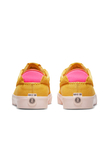 Buty Nike SB Shane T