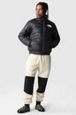 Kurtka Zimowa The North Face Elements 2000