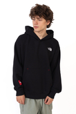 The North Face Axys Hoodie