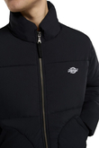Kurtka Zimowa Dickies Summerdale
