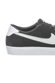 Buty Nike Zoom All Court CK QS