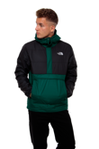 The North Face Insulated Fanorak Winter Jacket