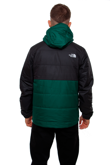 The North Face Insulated Fanorak Winter Jacket