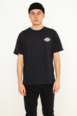Koszulka Dickies Success