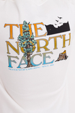 Bluza Z Kapturem The North Face Seasonal Graphic