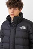 The North Face Limbara Winter Jacket