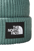 Zimní Čepice The North Face Salty Lined