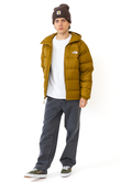 The North Face Hydrenalite™ Down Winter Jacket