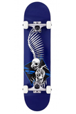 Skateboard Birdhouse Stage 1 Full Skull