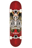 Birdhouse Tony Hawk Icon Skateboard