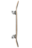 Deskorolka Fish Skateboards T-rex
