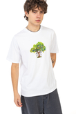 Palto Lemon Tree T-shirt