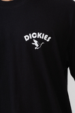 Koszulka Dickies Goose