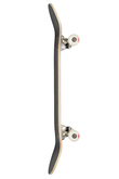 Skateboard Globe G0 Strype Hard