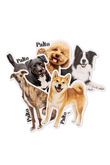 Naklejki Palto Shiba Inu