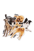 Naklejki Palto Shiba Inu