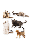 Palto Ragdoll sticker pack