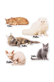 Palto Maine Coon sticker pack