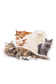 Palto Maine Coon sticker pack