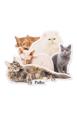 Palto Maine Coon sticker pack