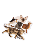 Palto Devon Rex sticker pack