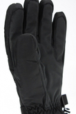 TALON